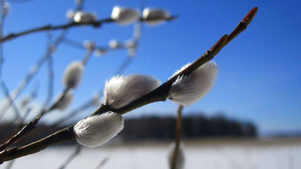 Hyvää pääsiäistä!